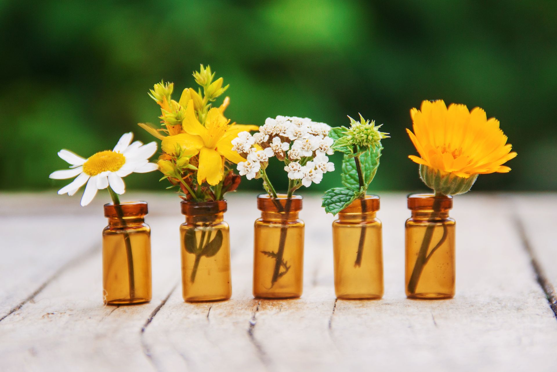 Bach Flower Remedies ที่ Thrive Wellness Clinic กรุงเทพ ลาดพร้าว